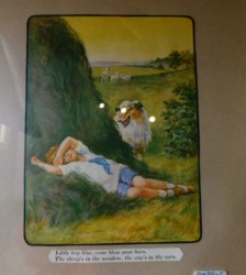 PICTURE LITTLE BOY BLUE B